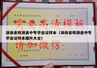 湖南省桃源县中专毕业证样本（湖南省桃源县中专毕业证样本图片大全）