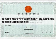 山东青年政治学院学位证样本图片（山东青年政治学院学位证样本图片大全）