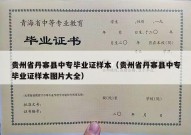 贵州省丹寨县中专毕业证样本（贵州省丹寨县中专毕业证样本图片大全）