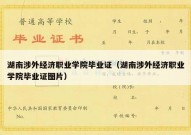 湖南涉外经济职业学院毕业证（湖南涉外经济职业学院毕业证图片）