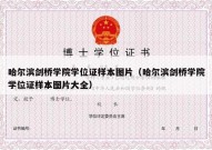 哈尔滨剑桥学院学位证样本图片（哈尔滨剑桥学院学位证样本图片大全）
