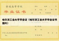 哈尔滨工业大学毕业证（哈尔滨工业大学毕业证书图片）