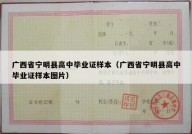 广西省宁明县高中毕业证样本（广西省宁明县高中毕业证样本图片）