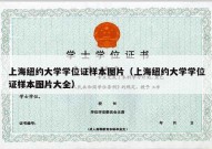 上海纽约大学学位证样本图片（上海纽约大学学位证样本图片大全）