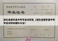 湖北省咸丰县中专毕业证样本（湖北省咸丰县中专毕业证样本图片大全）