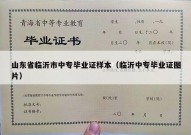 山东省临沂市中专毕业证样本（临沂中专毕业证图片）