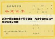天津中德职业技术学院毕业证（天津中德职业技术学院毕业证图片）