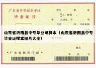 山东省沂南县中专毕业证样本（山东省沂南县中专毕业证样本图片大全）