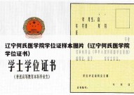 辽宁何氏医学院学位证样本图片（辽宁何氏医学院学位证书）