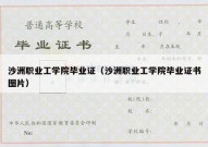 沙洲职业工学院毕业证（沙洲职业工学院毕业证书图片）