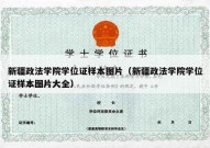 新疆政法学院学位证样本图片（新疆政法学院学位证样本图片大全）
