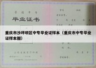 重庆市沙坪坝区中专毕业证样本（重庆市中专毕业证样本图）