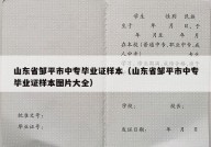 山东省邹平市中专毕业证样本（山东省邹平市中专毕业证样本图片大全）