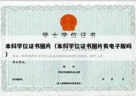本科学位证书图片（本科学位证书图片有电子版吗）
