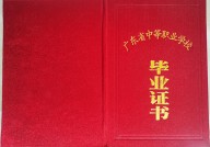 广东中专毕业证样本（广东省中专学历证书图片）