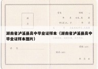湖南省泸溪县高中毕业证样本（湖南省泸溪县高中毕业证样本图片）