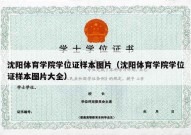 沈阳体育学院学位证样本图片（沈阳体育学院学位证样本图片大全）