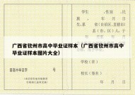 广西省钦州市高中毕业证样本（广西省钦州市高中毕业证样本图片大全）