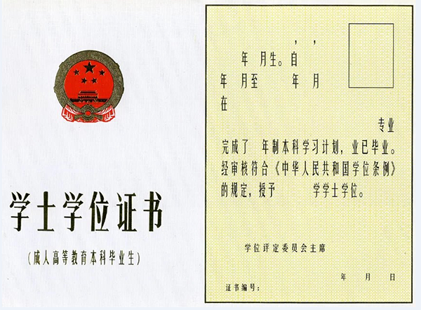 1919.png