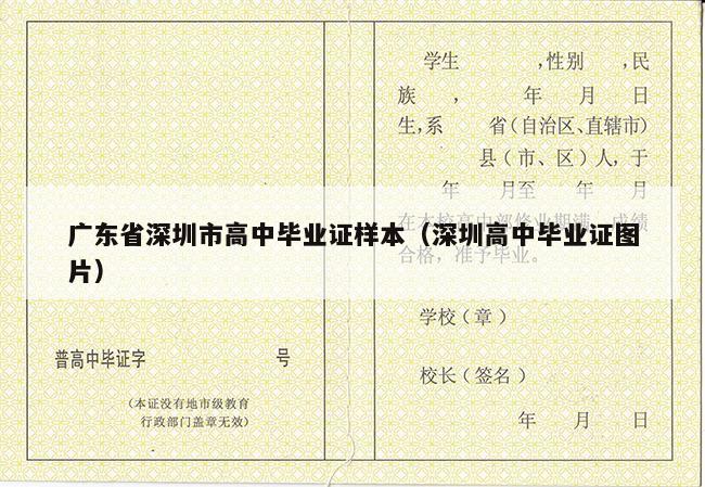 广东省深圳市高中毕业证样本（深圳高中毕业证图片）