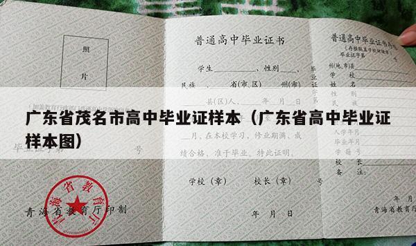 广东省茂名市高中毕业证样本（广东省高中毕业证样本图）