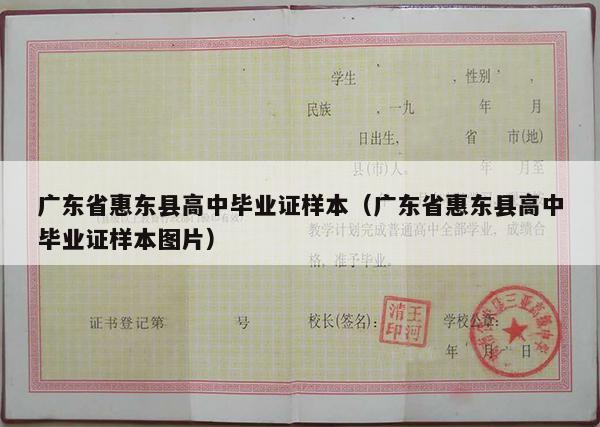 广东省惠东县高中毕业证样本（广东省惠东县高中毕业证样本图片）