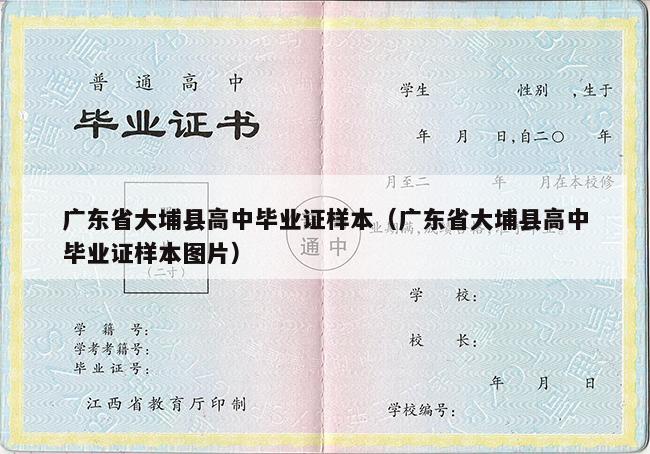 广东省大埔县高中毕业证样本（广东省大埔县高中毕业证样本图片）