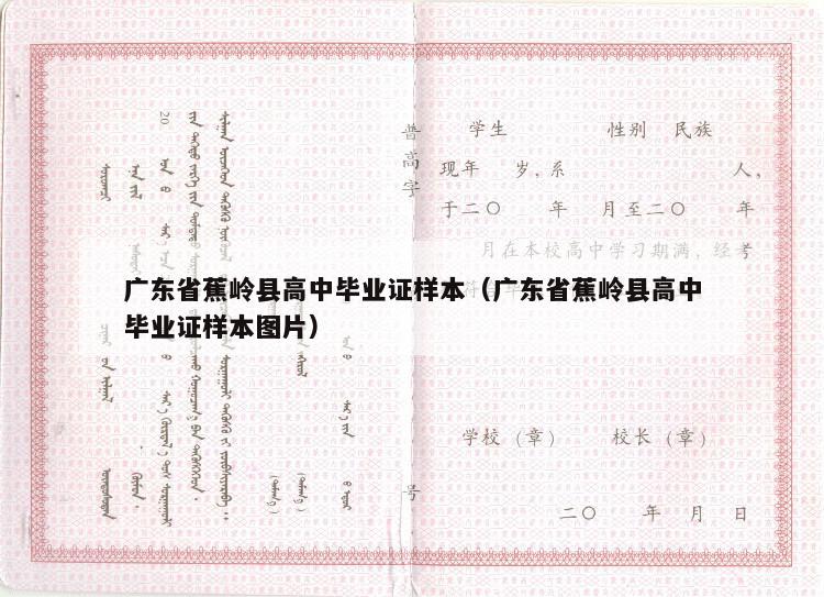 广东省蕉岭县高中毕业证样本（广东省蕉岭县高中毕业证样本图片）