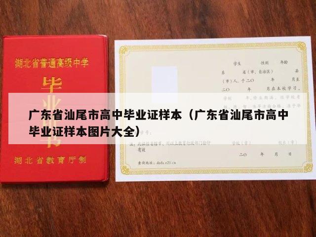 广东省汕尾市高中毕业证样本（广东省汕尾市高中毕业证样本图片大全）