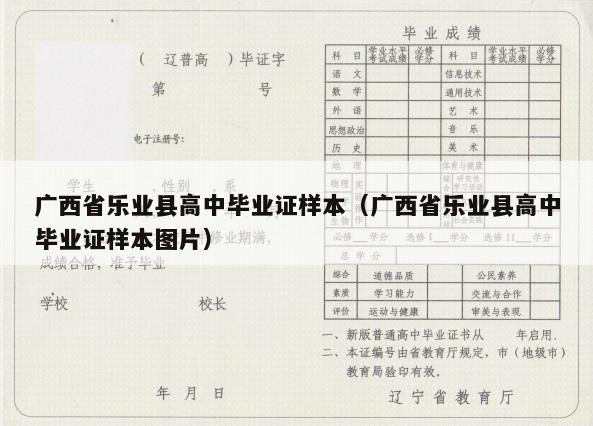 广西省乐业县高中毕业证样本（广西省乐业县高中毕业证样本图片）