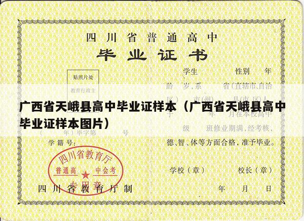 广西省天峨县高中毕业证样本（广西省天峨县高中毕业证样本图片）