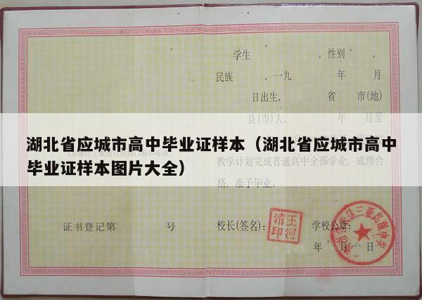 湖北省应城市高中毕业证样本（湖北省应城市高中毕业证样本图片大全）