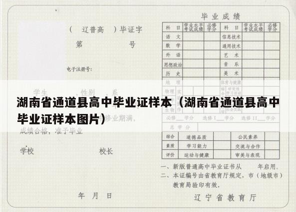 湖南省通道县高中毕业证样本（湖南省通道县高中毕业证样本图片）
