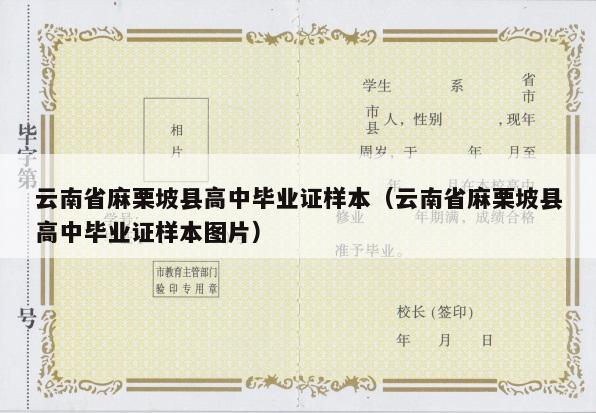云南省麻栗坡县高中毕业证样本（云南省麻栗坡县高中毕业证样本图片）