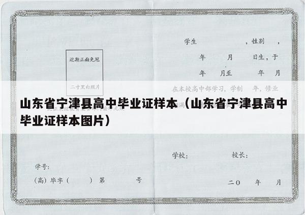 山东省宁津县高中毕业证样本（山东省宁津县高中毕业证样本图片）