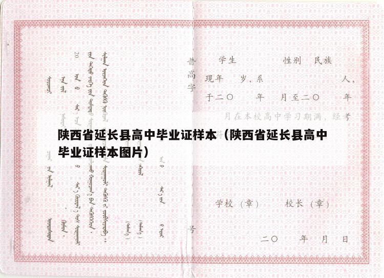 陕西省延长县高中毕业证样本（陕西省延长县高中毕业证样本图片）