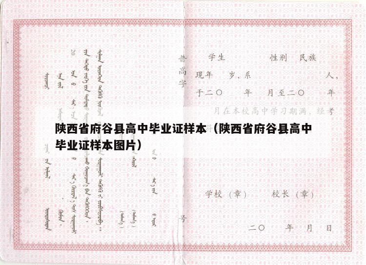 陕西省府谷县高中毕业证样本（陕西省府谷县高中毕业证样本图片）