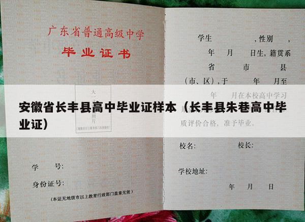 安徽省长丰县高中毕业证样本（长丰县朱巷高中毕业证）