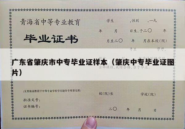 广东省肇庆市中专毕业证样本（肇庆中专毕业证图片）