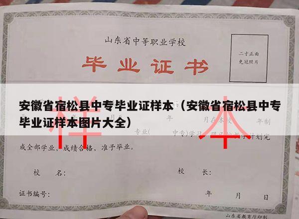 安徽省宿松县中专毕业证样本（安徽省宿松县中专毕业证样本图片大全）
