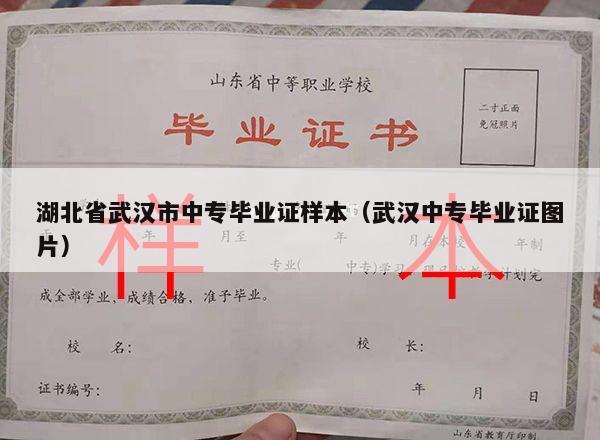 湖北省武汉市中专毕业证样本（武汉中专毕业证图片）