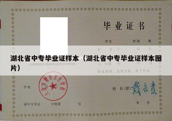 湖北省中专毕业证样本（湖北省中专毕业证样本图片）