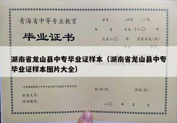湖南省龙山县中专毕业证样本（湖南省龙山县中专毕业证样本图片大全）