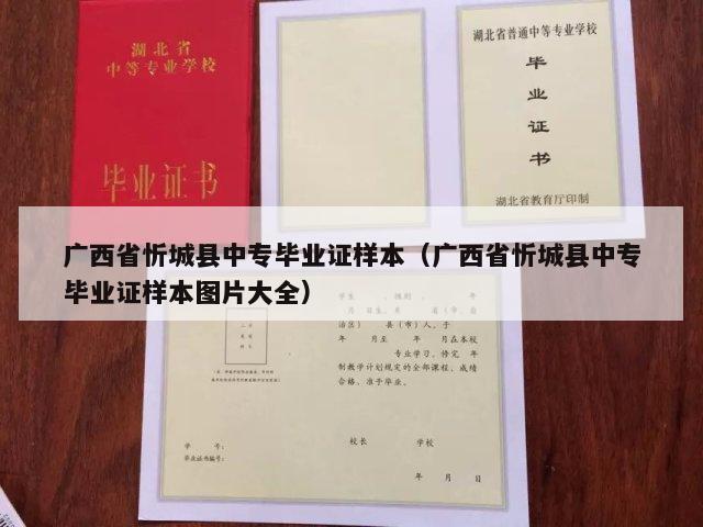 广西省忻城县中专毕业证样本（广西省忻城县中专毕业证样本图片大全）