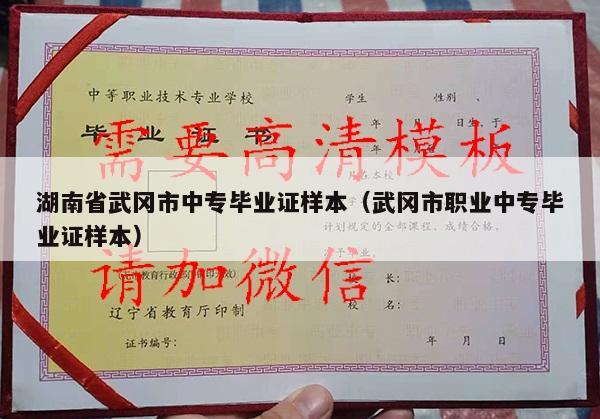 湖南省武冈市中专毕业证样本（武冈市职业中专毕业证样本）