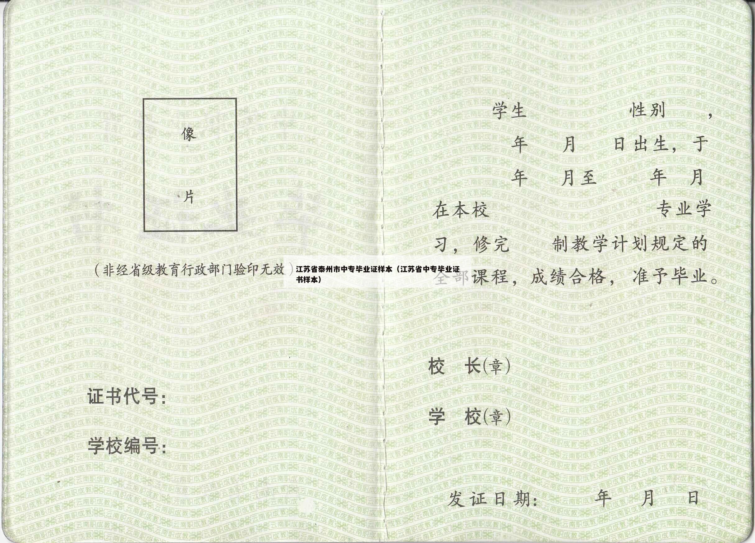 江苏省泰州市中专毕业证样本（江苏省中专毕业证书样本）