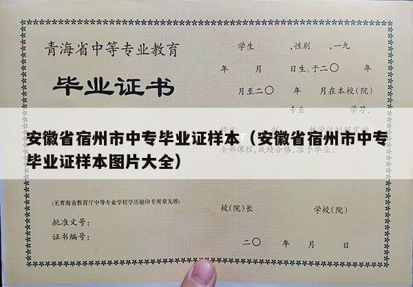 安徽省宿州市中专毕业证样本（安徽省宿州市中专毕业证样本图片大全）