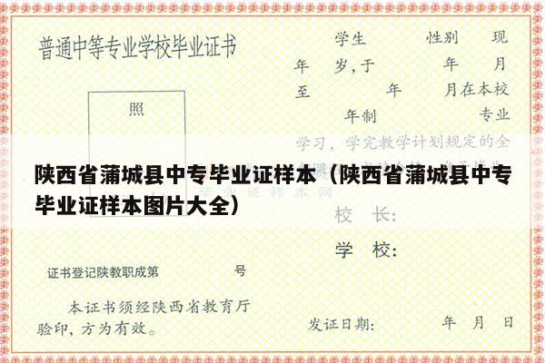 陕西省蒲城县中专毕业证样本（陕西省蒲城县中专毕业证样本图片大全）