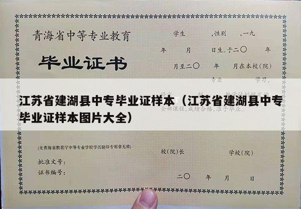 江苏省建湖县中专毕业证样本（江苏省建湖县中专毕业证样本图片大全）