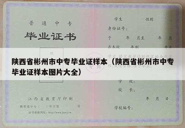 陕西省彬州市中专毕业证样本（陕西省彬州市中专毕业证样本图片大全）